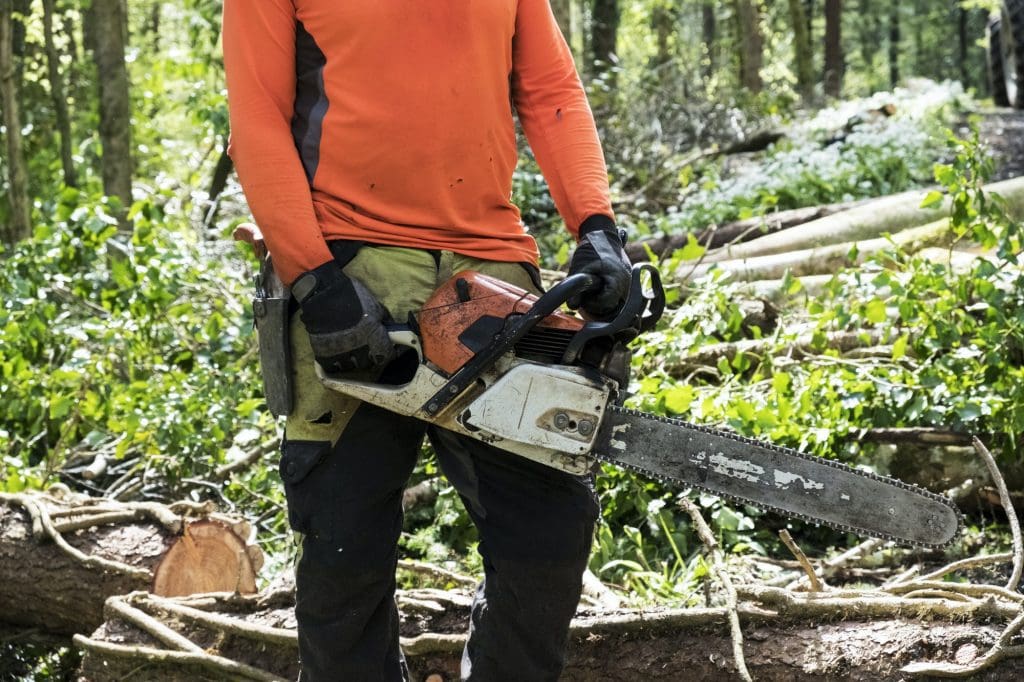 Man wearing bright orange top clearing part of forest. Cutting tree trunk with chain saw.
